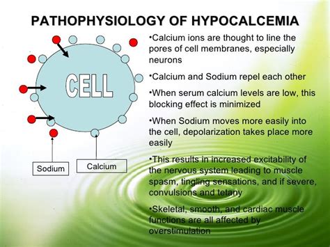 How does hypocalcaemia have an effect on the excitability of cell